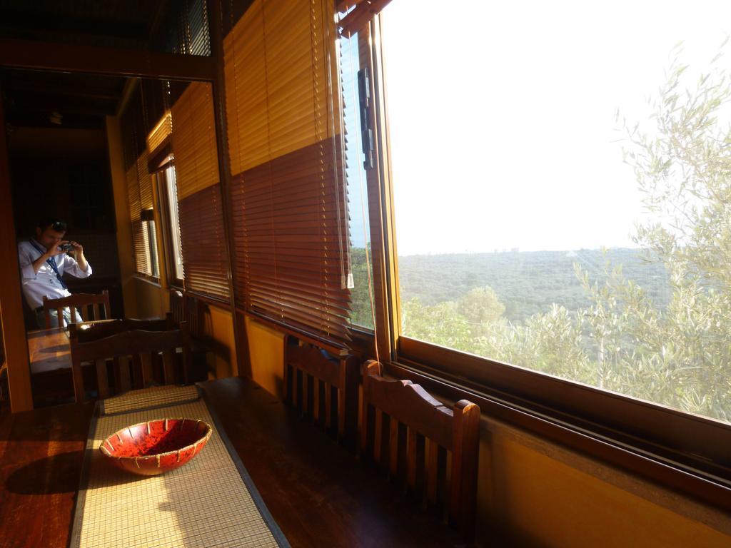 Vila Altini บอร์ช ภายนอก รูปภาพ