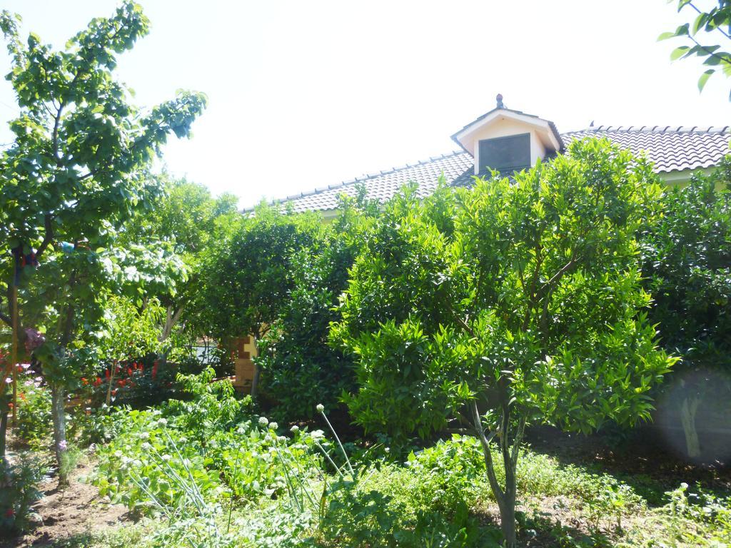 Vila Altini บอร์ช ภายนอก รูปภาพ